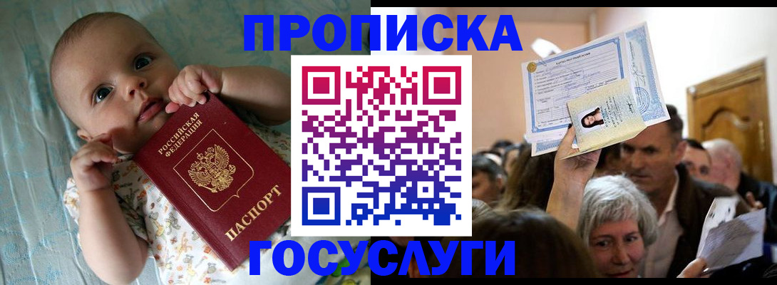 временная регистрация гарантия в Новосибирской области